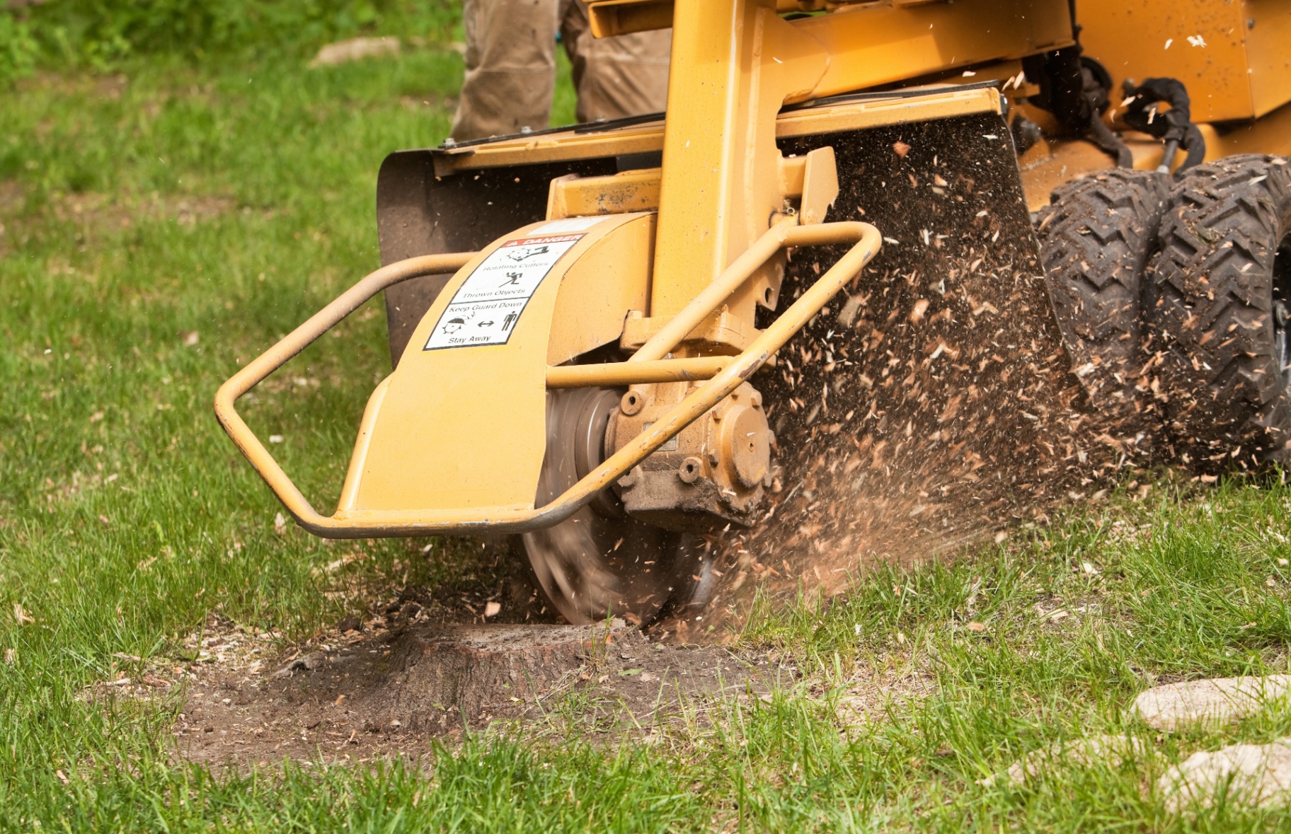 Stump grinding after removal — Coombs